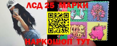 гашик Донской