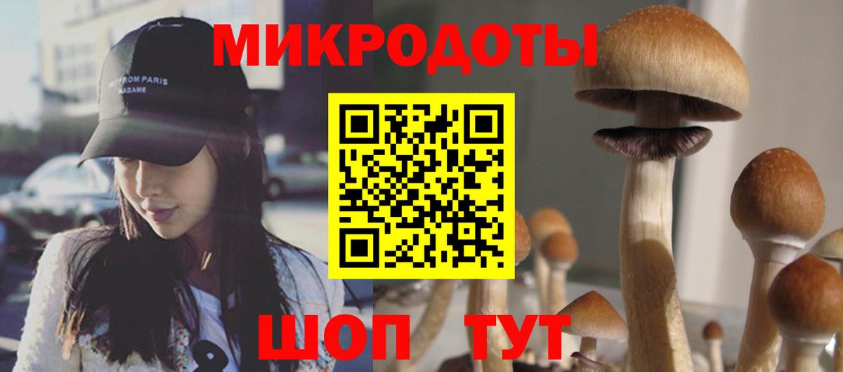 Ленинск-Кузнецкий  где продают   Вход с VPN  Псилоцибиновые грибы прущие грибы 